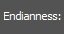endianess.jpg