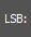 lsb.jpg