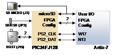 pic24.png
