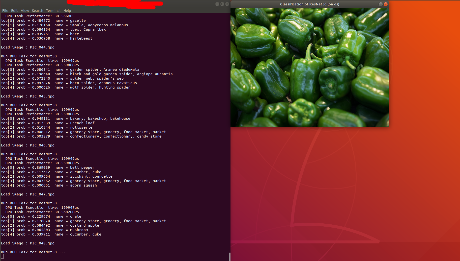 vitis-ai_resnet50.png